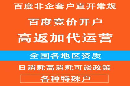 百度竞价托管公司案例分析：打造行业领军企业
